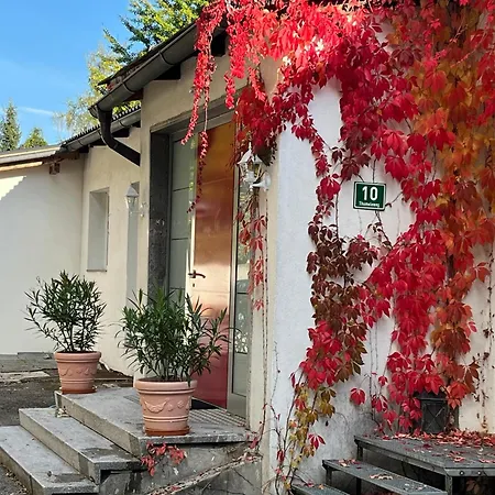 Seeblick Mit Charme In Der Hirschfisch Apartament Sattendorf