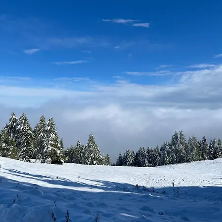 Seeblick Mit Charme In Der Hirschfisch Apartament *