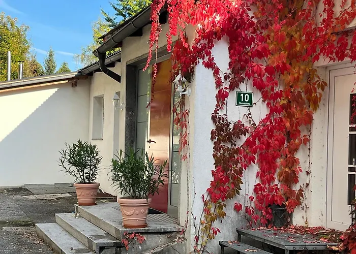 Seeblick Mit Charme In Der Hirschfisch Apartament Sattendorf