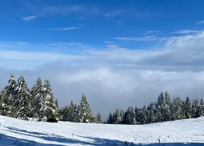Seeblick Mit Charme In Der Hirschfisch Apartament *