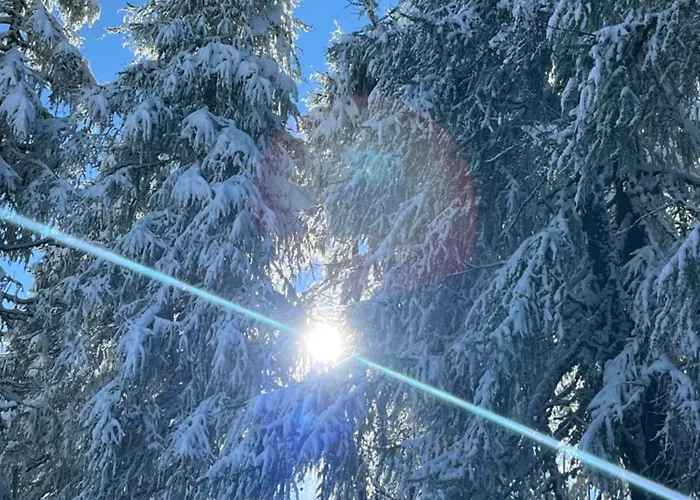 Apartament Seeblick Mit Charme In Der Hirschfisch Sattendorf